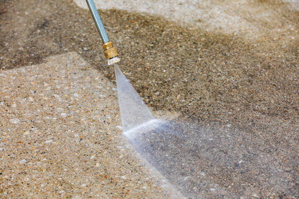 Best Boat and Dock Cleaning  in Wheaton, MN