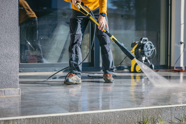 Best Roof Washing  in Wheaton, MN