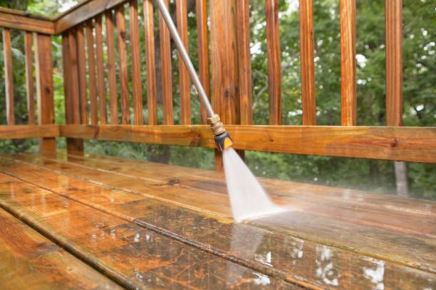 Best Dumpster Area Cleaning  in Wheaton, MN